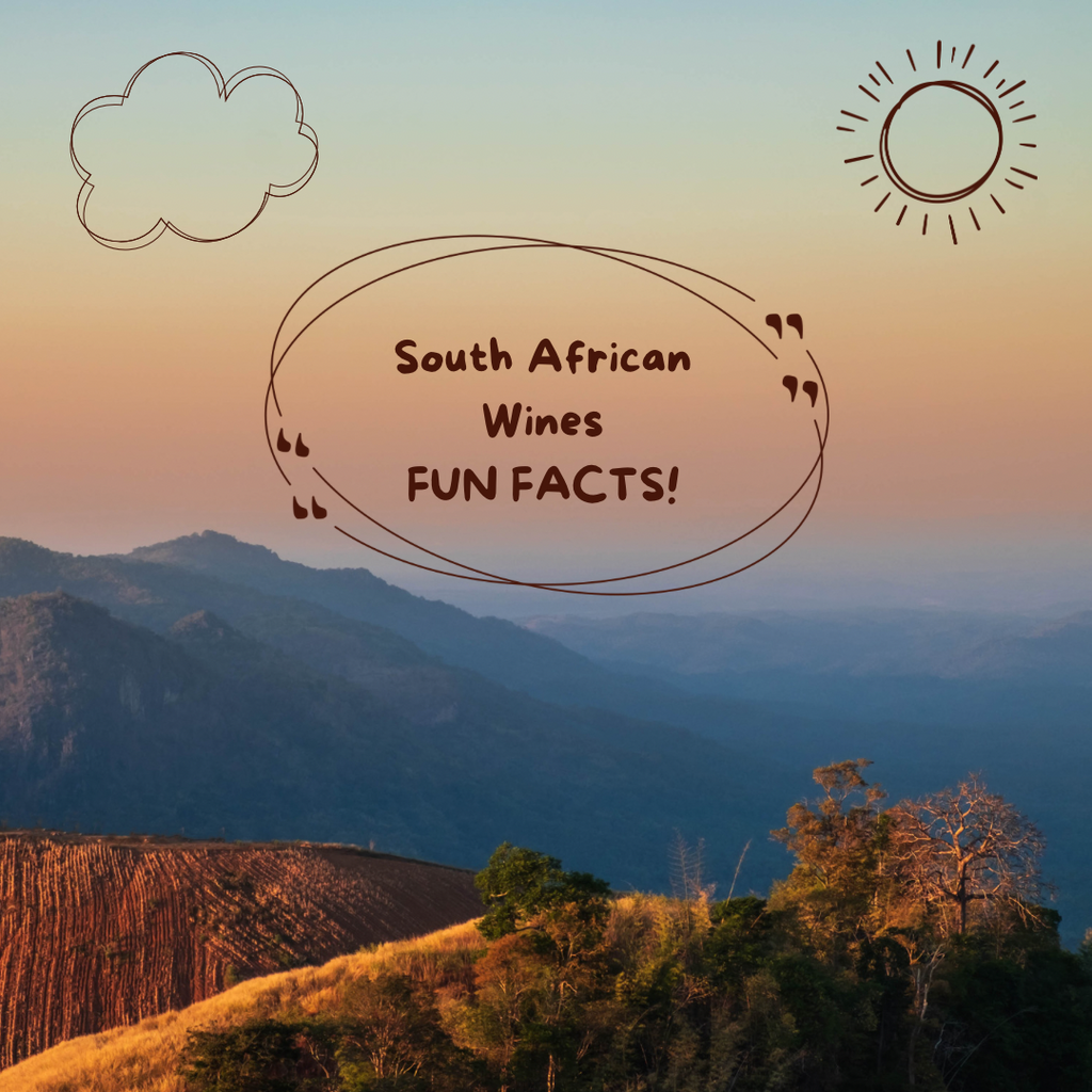 Fun Facts about South Africa’s Wine & Region