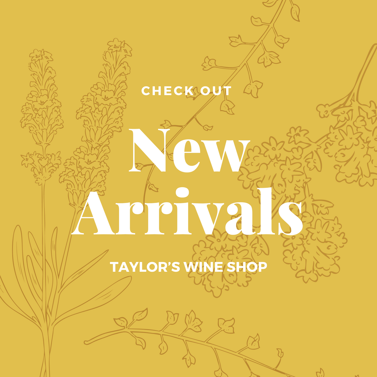 Newest Products – Page 11 – Taylor's Wine Shop