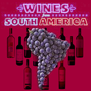 South American Wine Collection