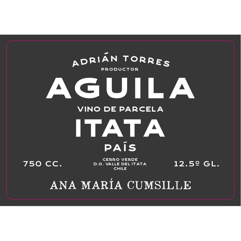 Ana Maria Cumsille Adrian Torres 2023 'Aguila' Pais - Taylor's Wine Shop