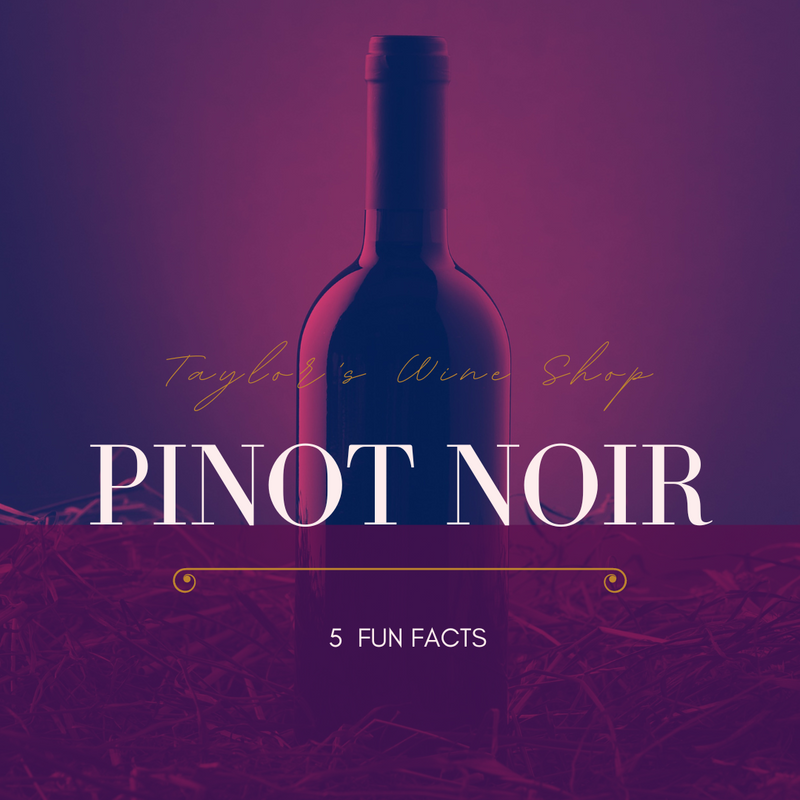 Pinot Noir: 5 Fun Facts – Taylor's Wine Shop