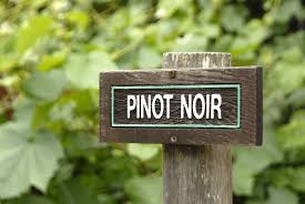 Pinot Noir Collection