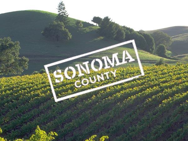 Sonoma County Wine Collection