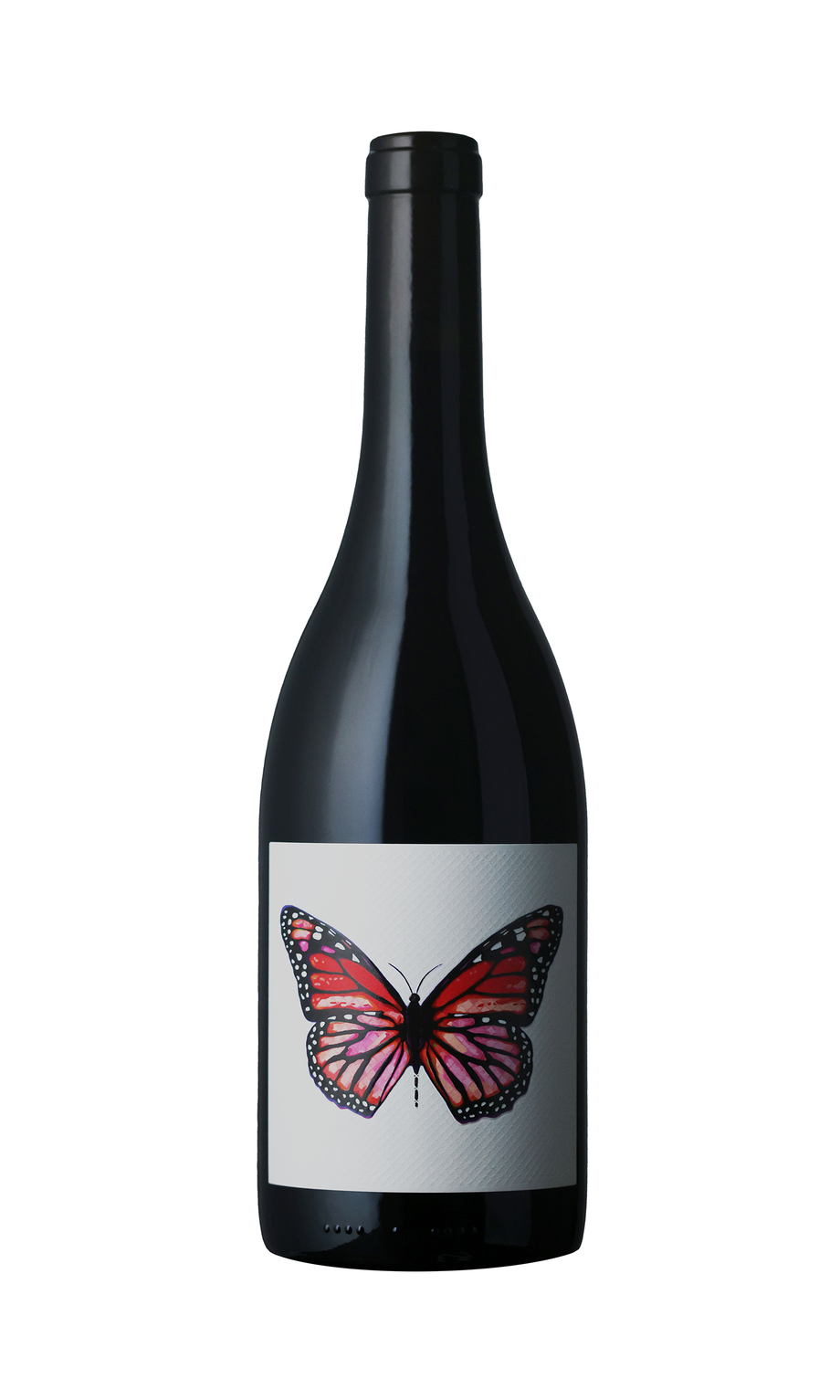 Tarpon Cellars 2020 Rebirth Old Vine Zinfandel – Taylor's Wine Shop