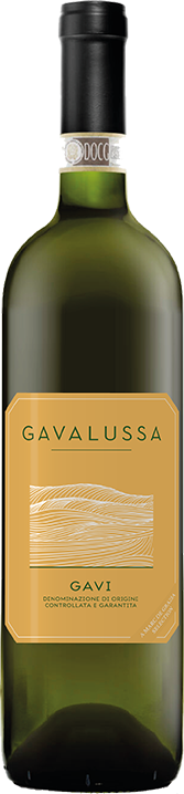 Gavalussa "Gavi" White