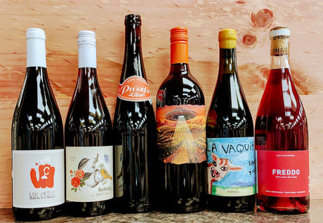 Chillable Red Wines - Sampler #1 (2025 Edition)