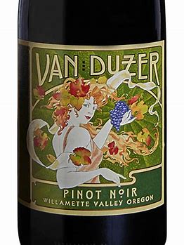 Duzer Shop Willamette 2021 Wine Van Noir Pinot – Taylor\'s